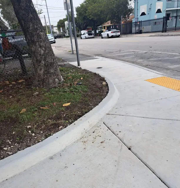 City of Miami Sidewalk Improvements: After: curved curb protecting the tree roots